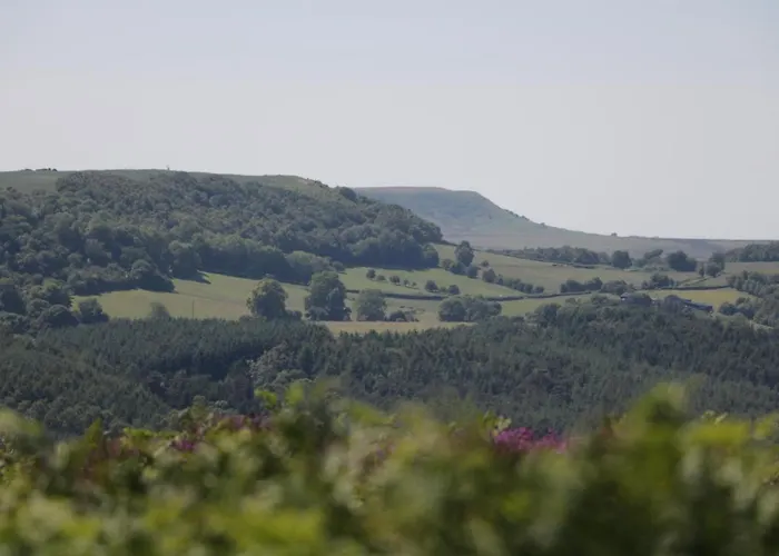 Summerfield Farm Holiday home *